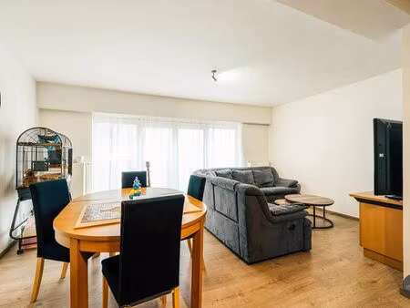 appartement à louer à willebroek € 795 (lkf6q) - homixx | zimmo