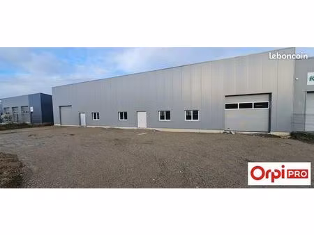 local d'activité 280 m²