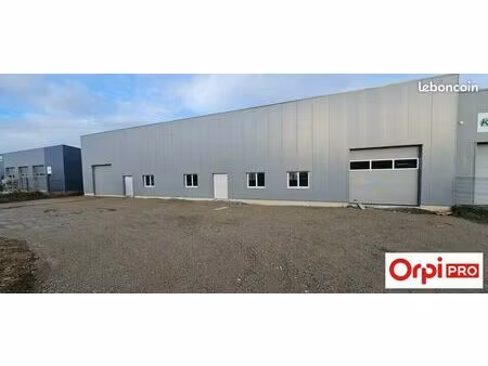 local d'activité 300 m²