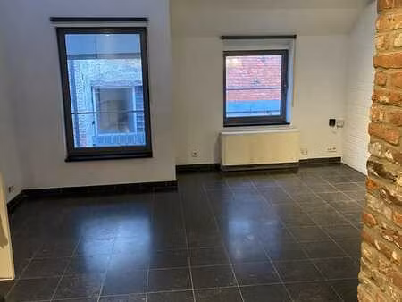 superbe appartement aliant moderne et ancien