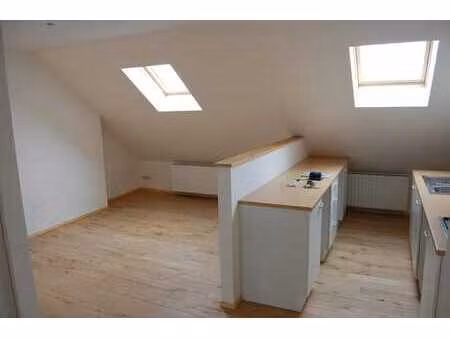 duplex 2 chambres lumineux