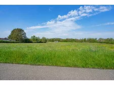 superbe terrain à vendre à erezée