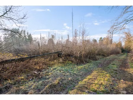 grond te koop in brecht