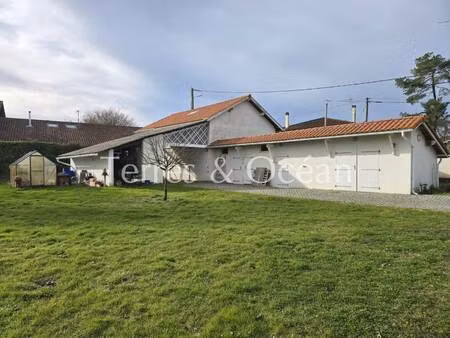 terres & ocean immobilier hossegor