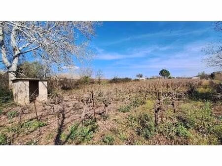 terre agricole avec eau et mazet