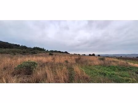 terrain agricole avec partie boisée
