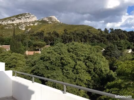 t2 43m² + terrasse 13m² plein sud - quartier calme – parking – saint tronc 10ᵉ