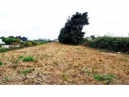 terrain à vendre