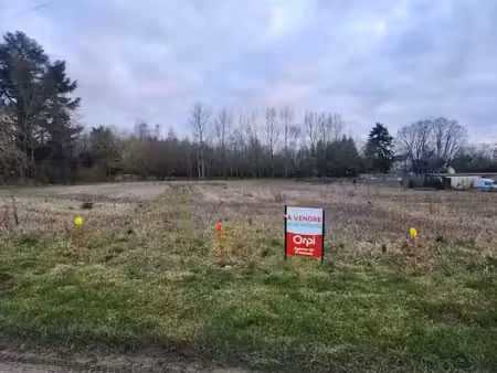 vente terrain 1451 m² à villiers-saint-georges (77560)  35 000 €