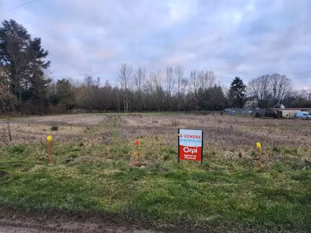 vente terrain à batir 3107 m² à louan-villegruis-fontaine (77560)  62 500 €