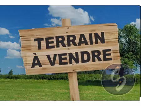 vente terrain au pellerin (44640) : à vendre / 715m² le pellerin