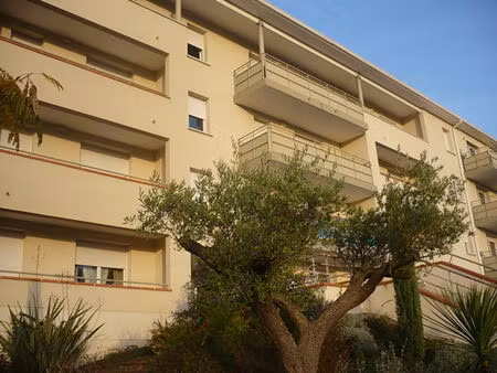 location appartement 2 pièces 34 m² à montauban (82000)