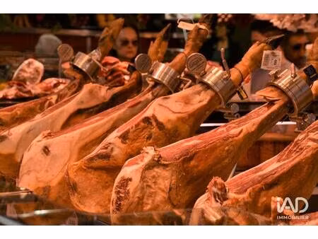 vente surface diverse 170 m²