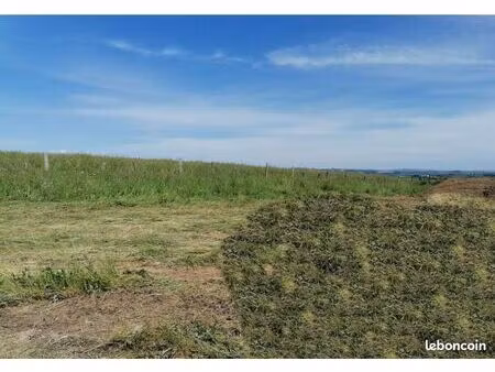 terrain 812 m² castanet