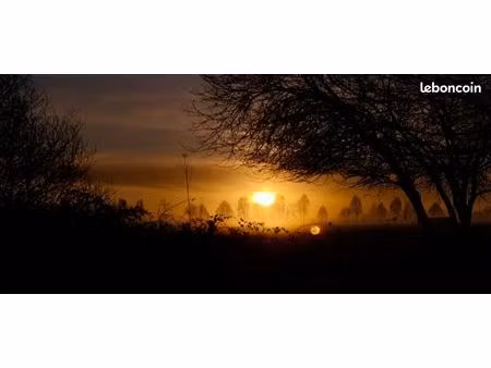 recherche appartement urgent