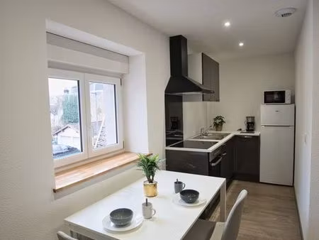 bel appartement studio meublé refait à neuf