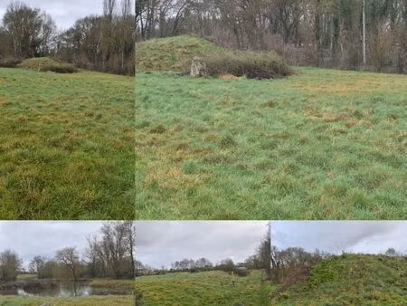 terrain pour un âne
