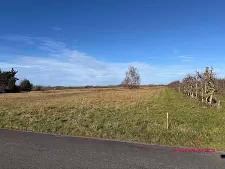 vente terrain à batir 2156 m² à mézières-lez-cléry (45370)  107 000 €