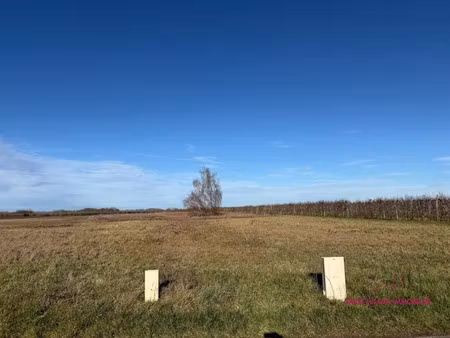 vente terrain à batir 2156 m² à mézières-lez-cléry (45370)  129 000 €