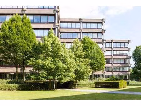nice offices to let as from 250 m² up to 4.000 m²