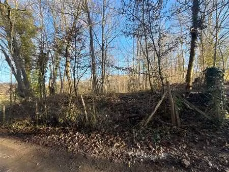 terrain dans un cadre bucolique !