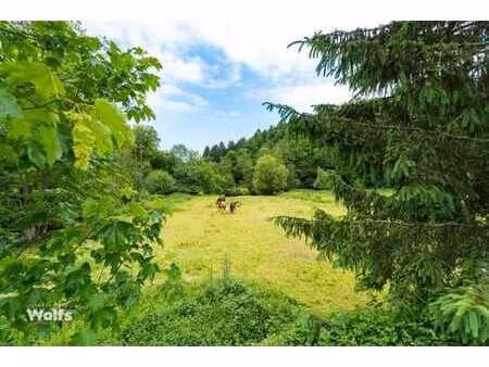 belle parcelle à bâtir de 3.755 m² en plein écrin de verdure