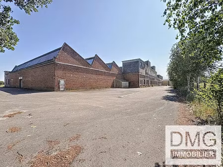vente locaux professionnels 6900 m² à steenvoorde (59114)  1 550 000 €