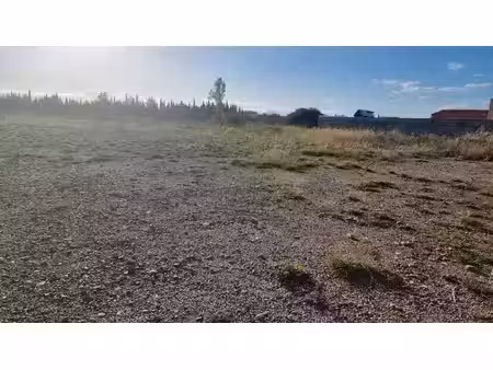 vente terrain 982 m² à saint-hippolyte (66510)  212 000 €