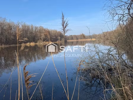 vente terrain 80530 m² à lavoye (55120)  325 000 €