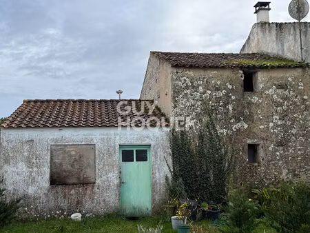 à vendre : chai et remise à dolus d'oléron !