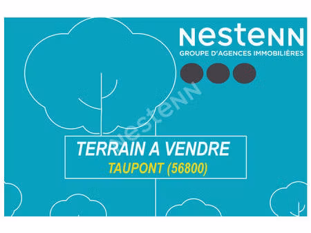 terrain de 535 m² à taupont (56800)