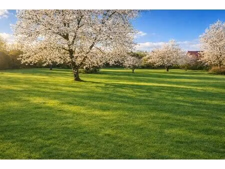 terrain constructible de 3197m²