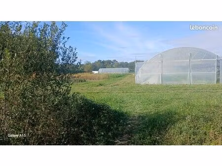 ferme maraîchère à reprendre
