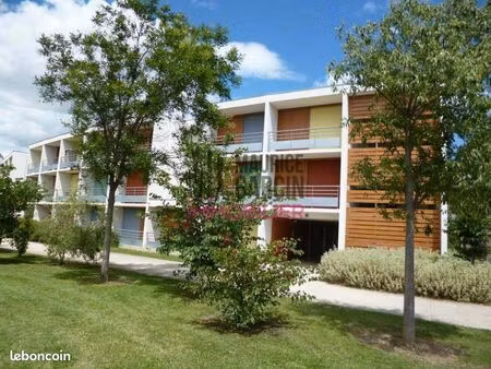 studio 1 pièce 24 m²