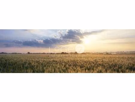 vente terrain à guidel (56520) : à vendre / guidel