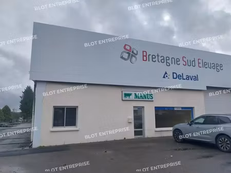 à vendre - locaux d'activites - 1 673 m² - chateauneuf-du-faou