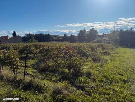 vacqueyras terrains à bâtir