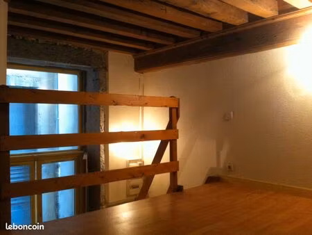 ainay (lyon 2°)- t1 bis avec mezzanine