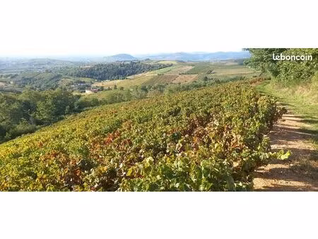 fermage aop chiroubles