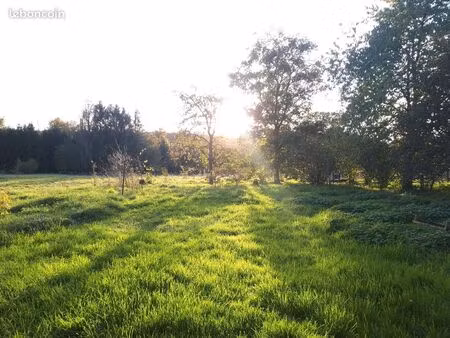 terrain de 50 ares