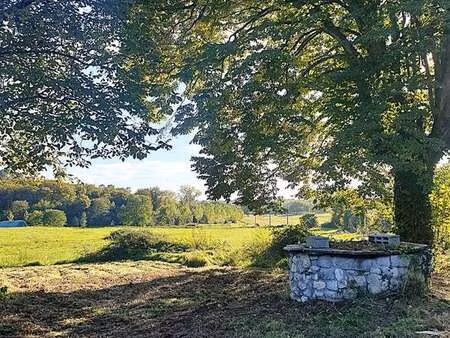 vente maison à neuvicq (17270) : à vendre / 37m² neuvicq