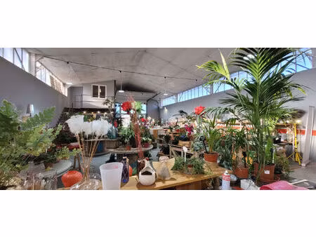 vente commerce 250 m² cavaillon (84300)