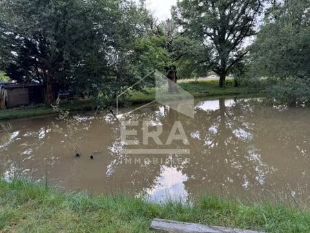 terrain à vendre à ménesplet - 12126 m²