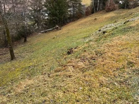 terrain constructible - meussia (39260)