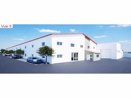 vente locaux professionnels 1 pièce 86 m² à cabestany (66330)  139 000 €