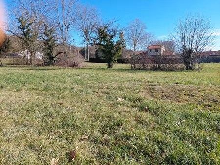 terrain à bâtir à montesquieu-volvestre