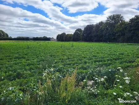 terrain 438 m² cherrueix