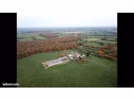 stabulation 2700 m2 + 60 ha. ferme / location / vente