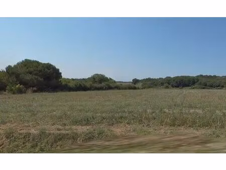 vente terrain 463 m² meursac (17120)