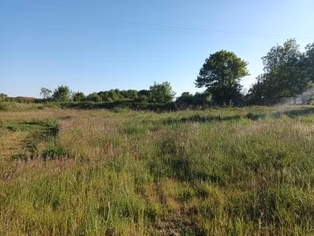 terrain constructible 17 le mung libre choix du constructeur